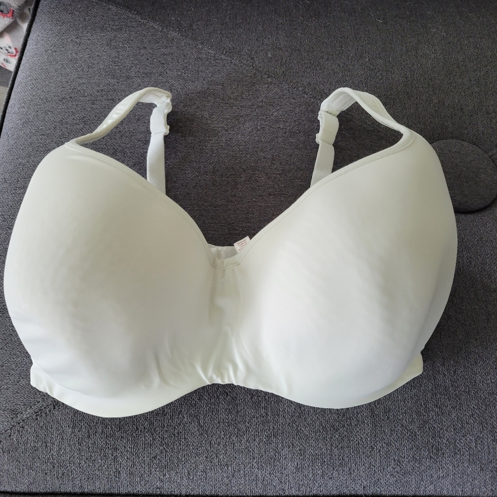 Cacique Bra 36i
